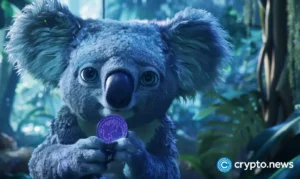 crypto news Koala coin option01.webp