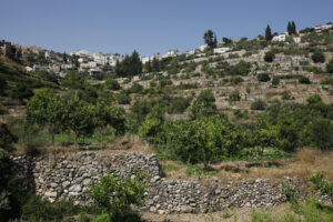 BATTIR