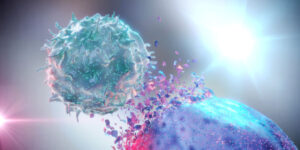 nk cell 760x380