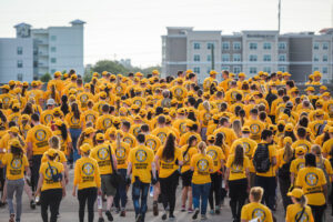 vm sea of bright yellow