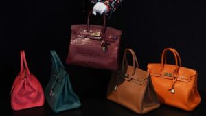 Birkin Feature e1699994251428