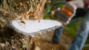 chainsaw 1152x648 1744727753