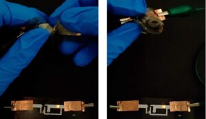 cropped flex battery