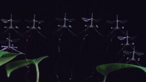 robobee1CROP 1152x648