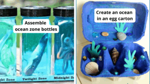 ocean activities